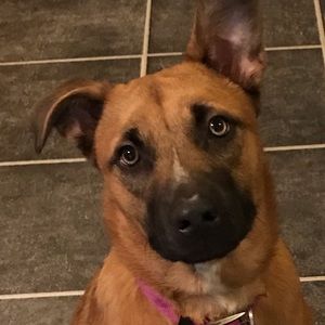 Meet your Posher, Debra